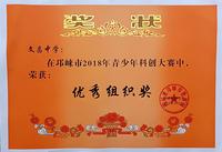 2018科技大赛优秀组织奖_副本.jpg