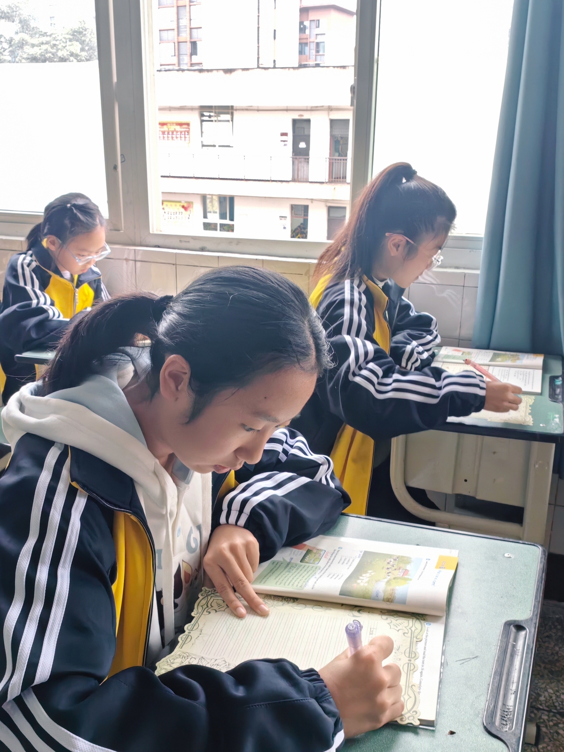 图二.jpg