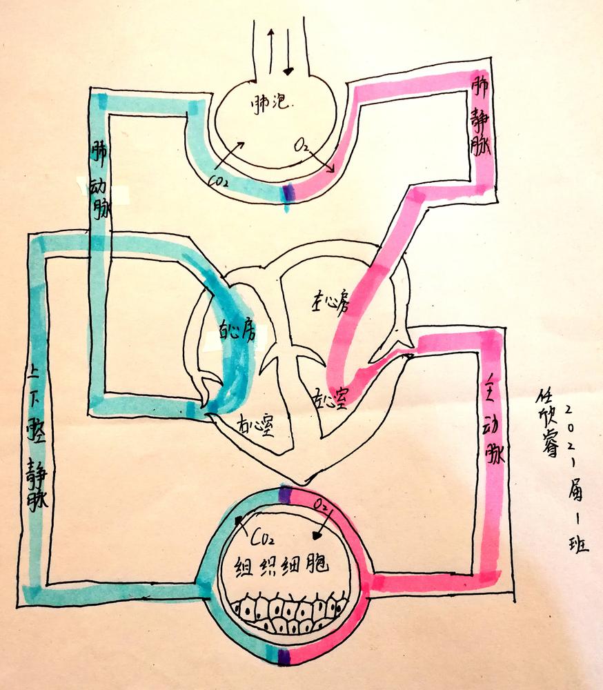 7.1任欣睿_副本.jpg
